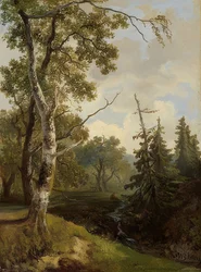 Forest Scene Near Wolfheze (Bosgezicht bij Wolfheze)