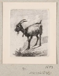 A Goat with a Bell