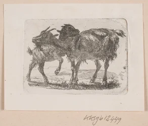 A Goat with its Kid