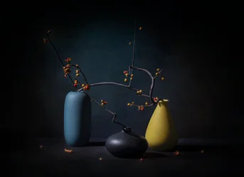 Elegant Branch Still Life