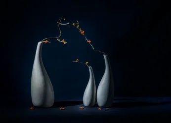 Elegant Vases with Blooms