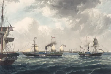 The Steamships 