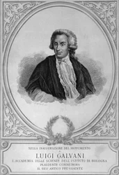 Portrait of Luigi Galvani, Italian physiologist, physicist, biologist and anatomist, who discovered animal electricity, drawing