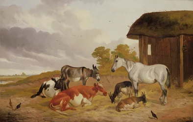 Farmyard Companions