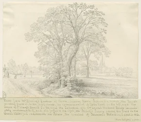 Lichfield - View across Stowe Pool