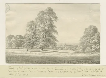 Lichfield Cathedral - View from Aldershaw (distant)