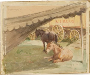 Two Horses Resting