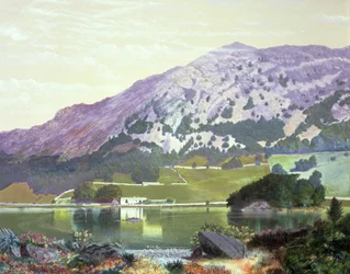 Nab Scar from the South Side of Rydal Water - Heather in Bloom