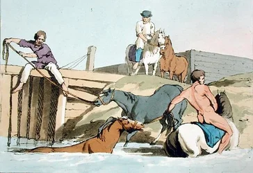 Bathing Horses, etched by the artist, published 1803