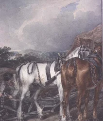 The Ploughman