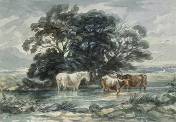 Landscape, Two Cows and a Horse Standing in Water