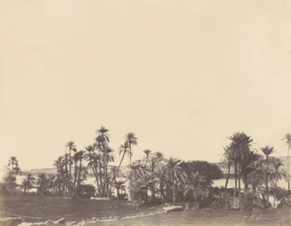 Banks of the Nile, Kalabsche