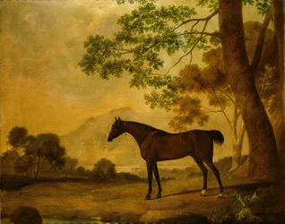 Unknown Image