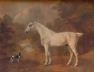 A Flea-Bitten Grey and a Spotted Terrier