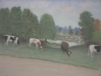 Pasture