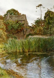 An Autumn Garden