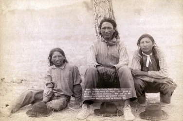 Three Lakota Teenage Boys in Western Clothing, 1891
