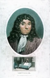 Anton van Leeuwenhoek, Dutch Microscopist