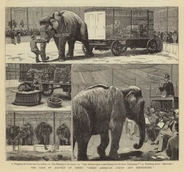 The Sale by Auction of Myers
