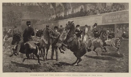 Horse-Show at the Agricultural Hall, Ponies in the Ring