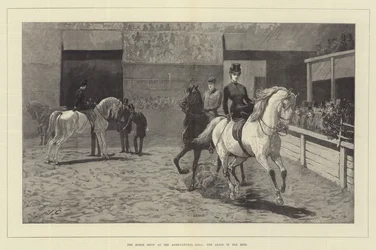 The Horse Show at the Agricultural Hall, the Arabs in the Ring