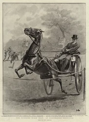 The Richmond Horse Show, an Unrehearsed Exhibition