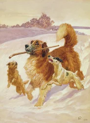 Three Dogs Playing in the Snow, 1881
