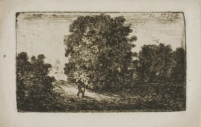 Trees Bordering a Road