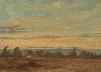 Summer - Evening Landscape