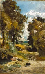 The Cornfield