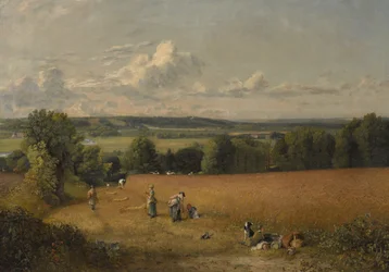 The Wheat Field