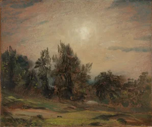 Trees on Hampstead Heath