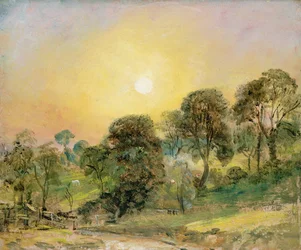 Trees on Hampstead Heath at Sunset