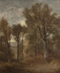 Woodland Scene Overlooking Dedham Vale