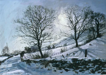 Winter Afternoon in Dentdale