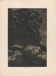 Sheep in Twilight