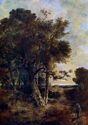 On the Skirts of the Forest