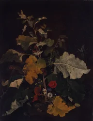 Study of a Burdock
