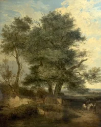 Trees by a Brook