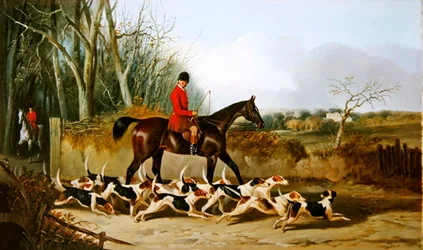 Crocteth Harriers, Back of Stanfield