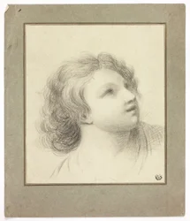 Upturned Head of Youth