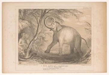 Caricature with Lord Ellenborough as a Wild Elephant, HB Sketches (series title)