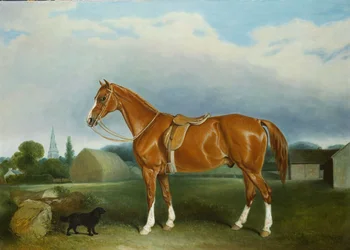 A Chestnut Hunter and a Spaniel by Farm Buildings
