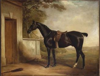 Portrait of Buckle, First Lord Chesham