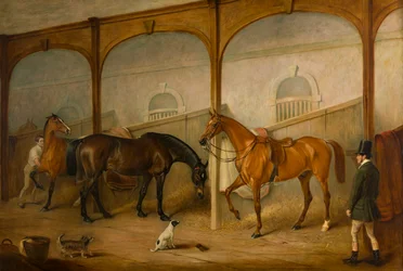Tom of Lincoln and The Engineer in the Stables at Newport Lodge, Melton Mowbray, Leicestershire