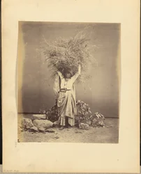 Indian Peasant Young Woman Holding Twigs on Her Head