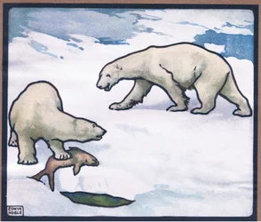 Polar Bear