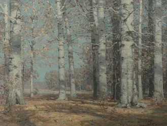 Autumn Beeches