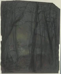 Forest Scene
