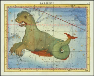 1776 - John Flamsteed - La Baleine (Cetus)